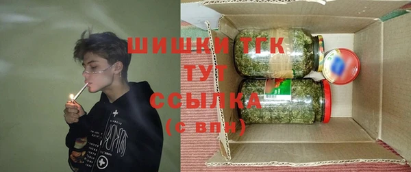 шишки Арсеньев