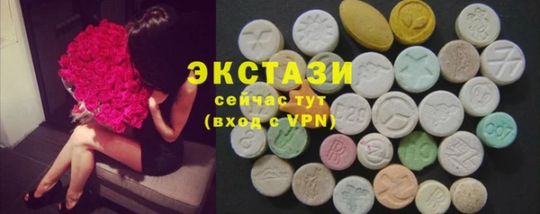 шишки Арсеньев