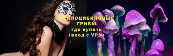 амф Аркадак
