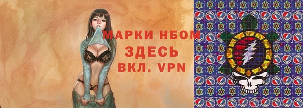 шишки Арсеньев