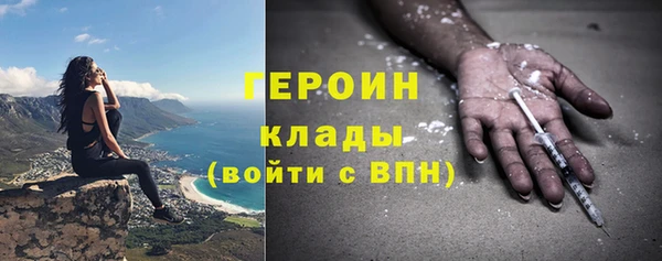 шишки Арсеньев